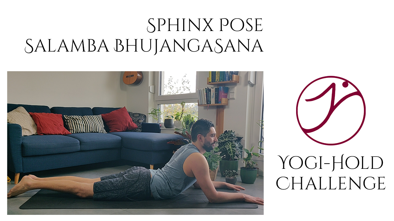 Türchen 1: Salamba Bhujangasana – Die Sphinx-Pose