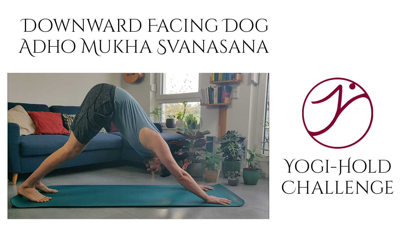 Türchen 2: Adho Mukha Svanasana – Der Herabschauende Hund