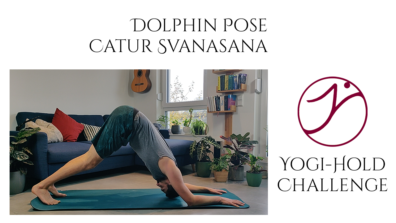 Türchen 16: Catur Svanasana – Der Delfin