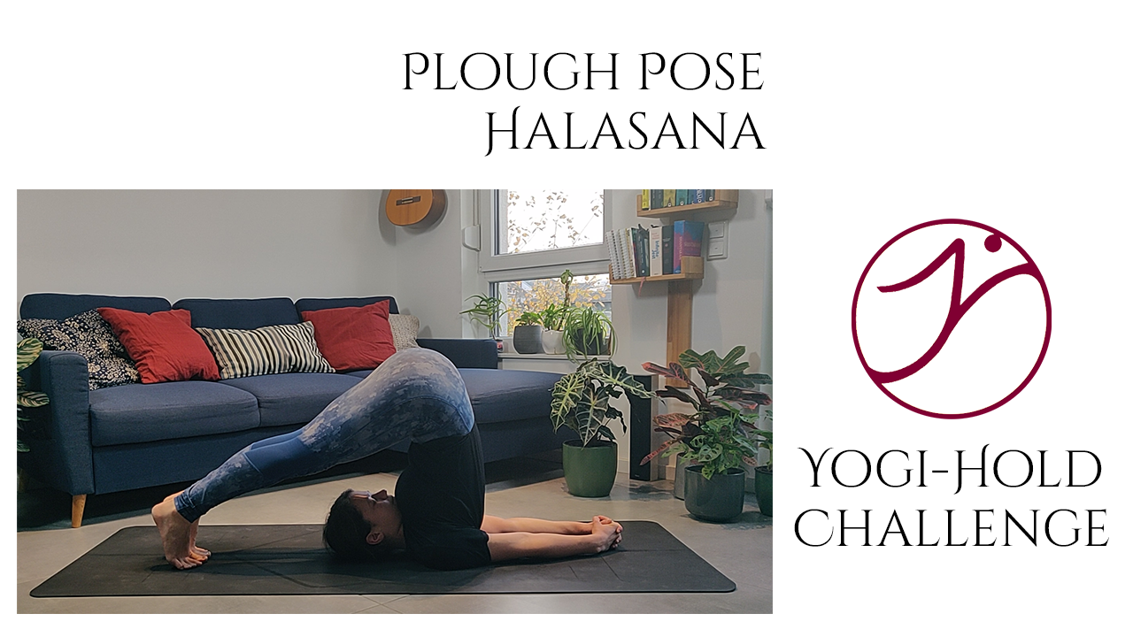 Türchen 19: Halasana – Pflug