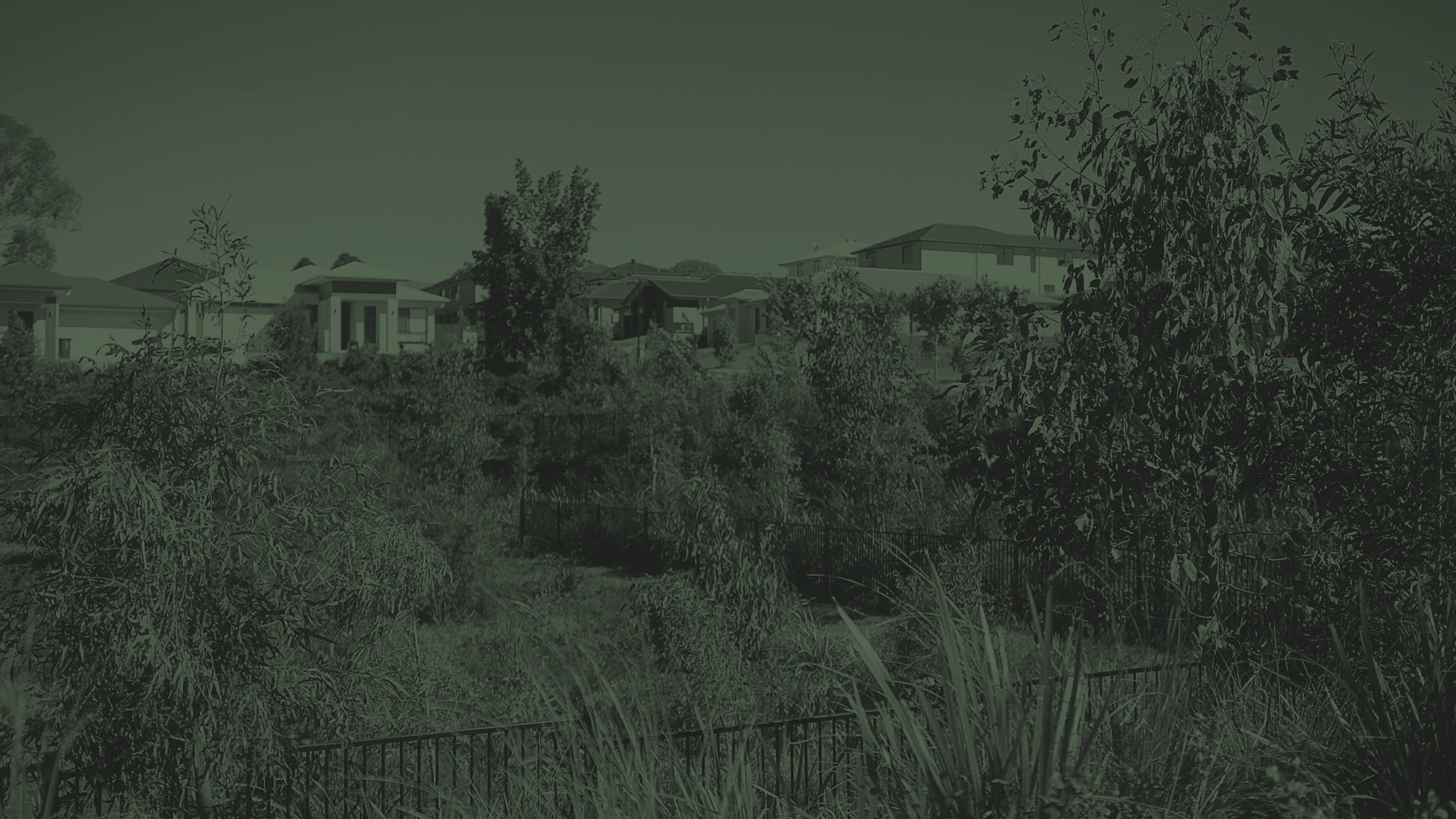 Revegetation