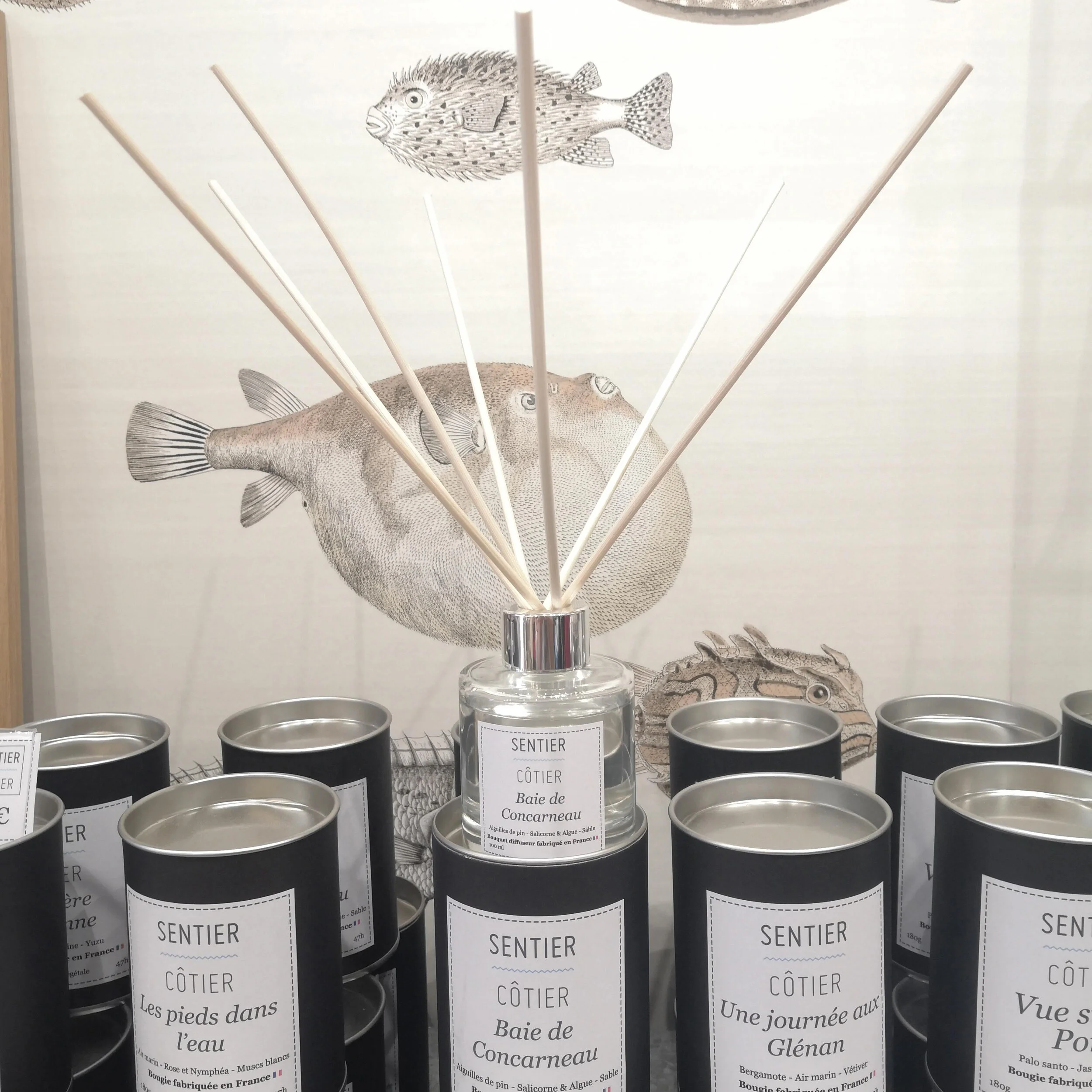 Bouquet diffuseur parfumé Baie de Concarneau.jpg