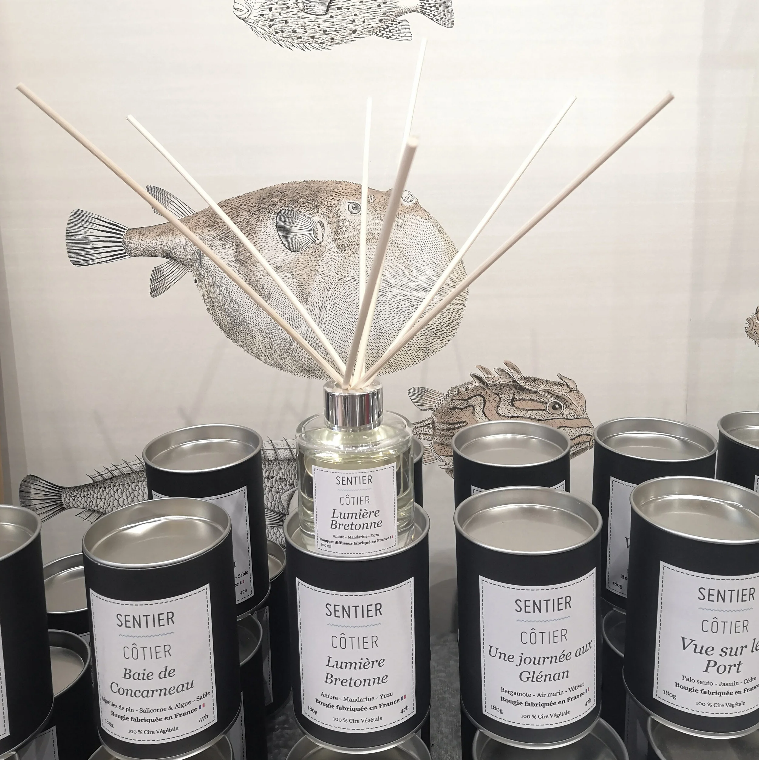 Bouquet diffuseur parfumé Lumière Bretonne.jpg