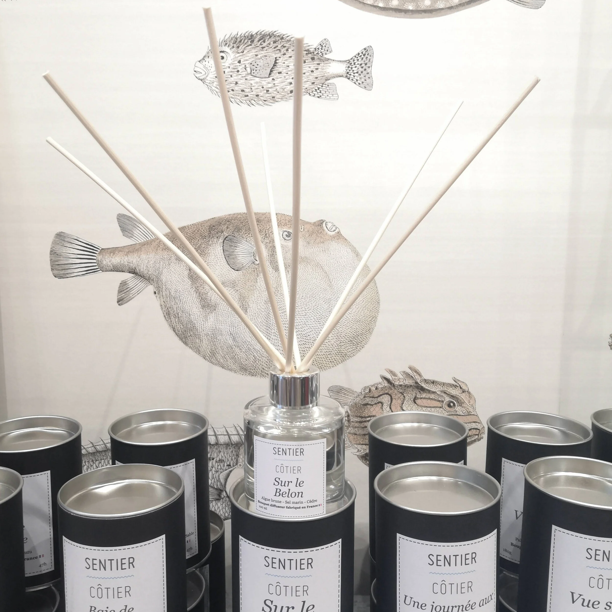 Bouquet diffuseur parfumé Sur le Belon.jpg