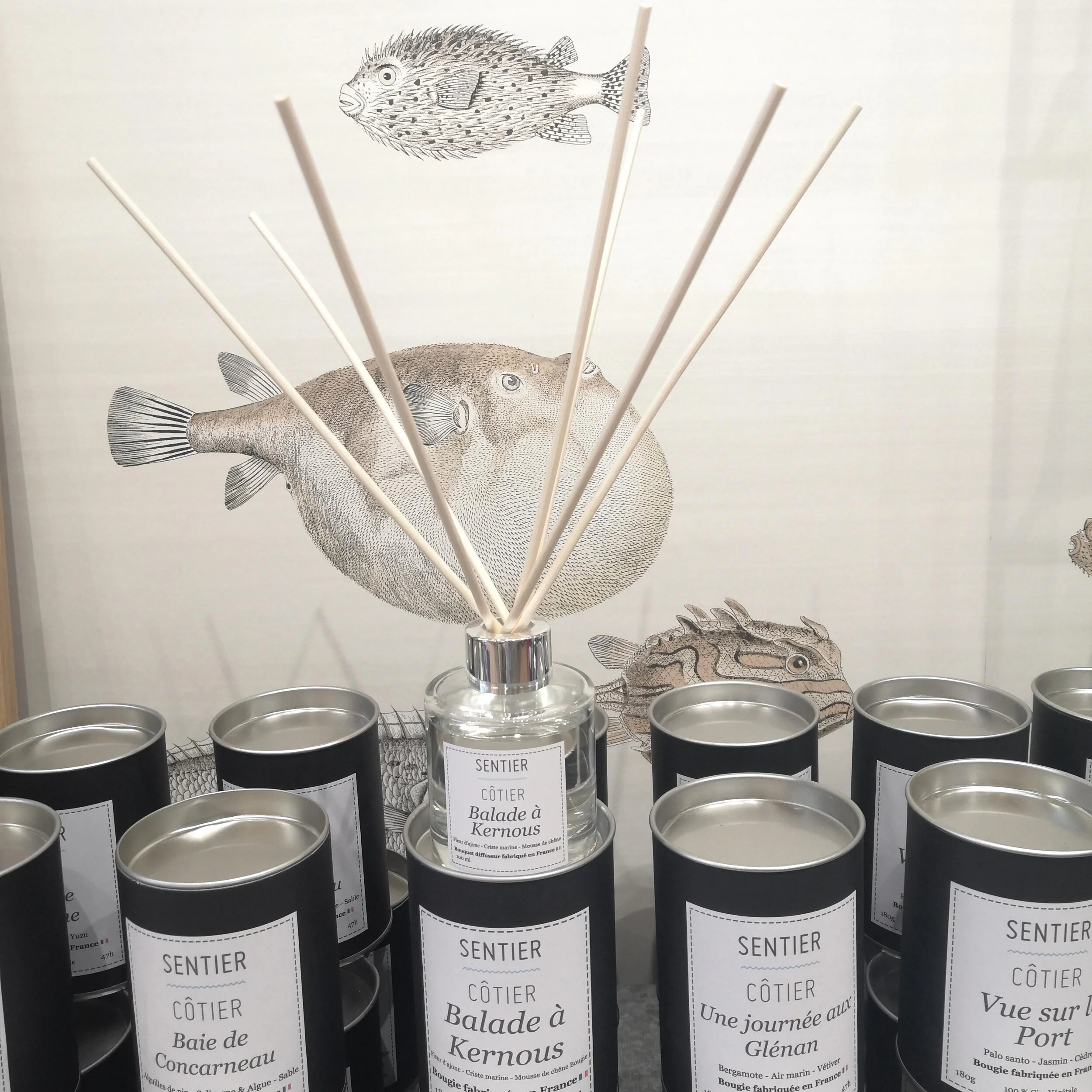 Bouquet diffuseur parfumé Balade à Kernous.jpg