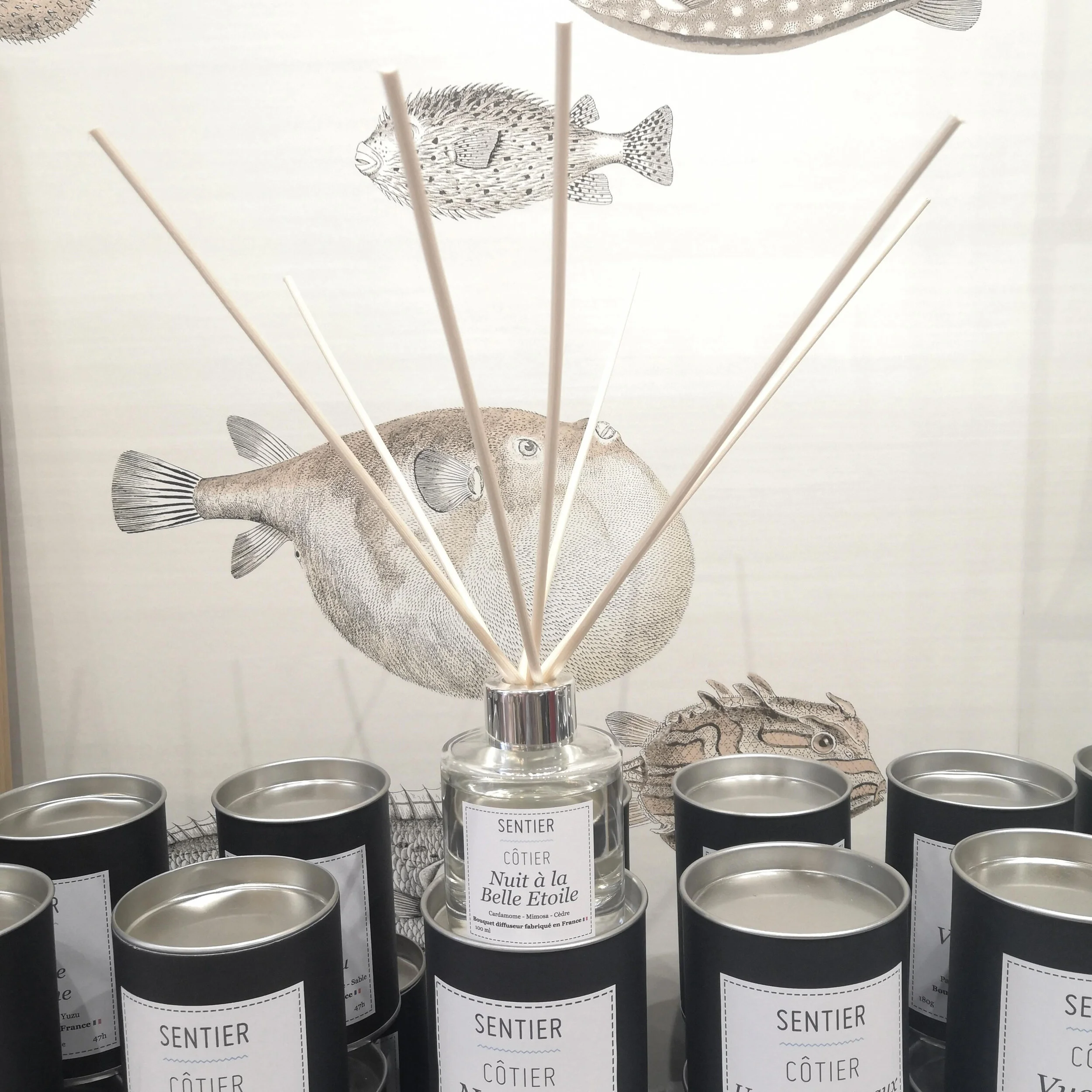 Bouquet diffuseur parfumé Nuit à la Belle Etoile.jpg