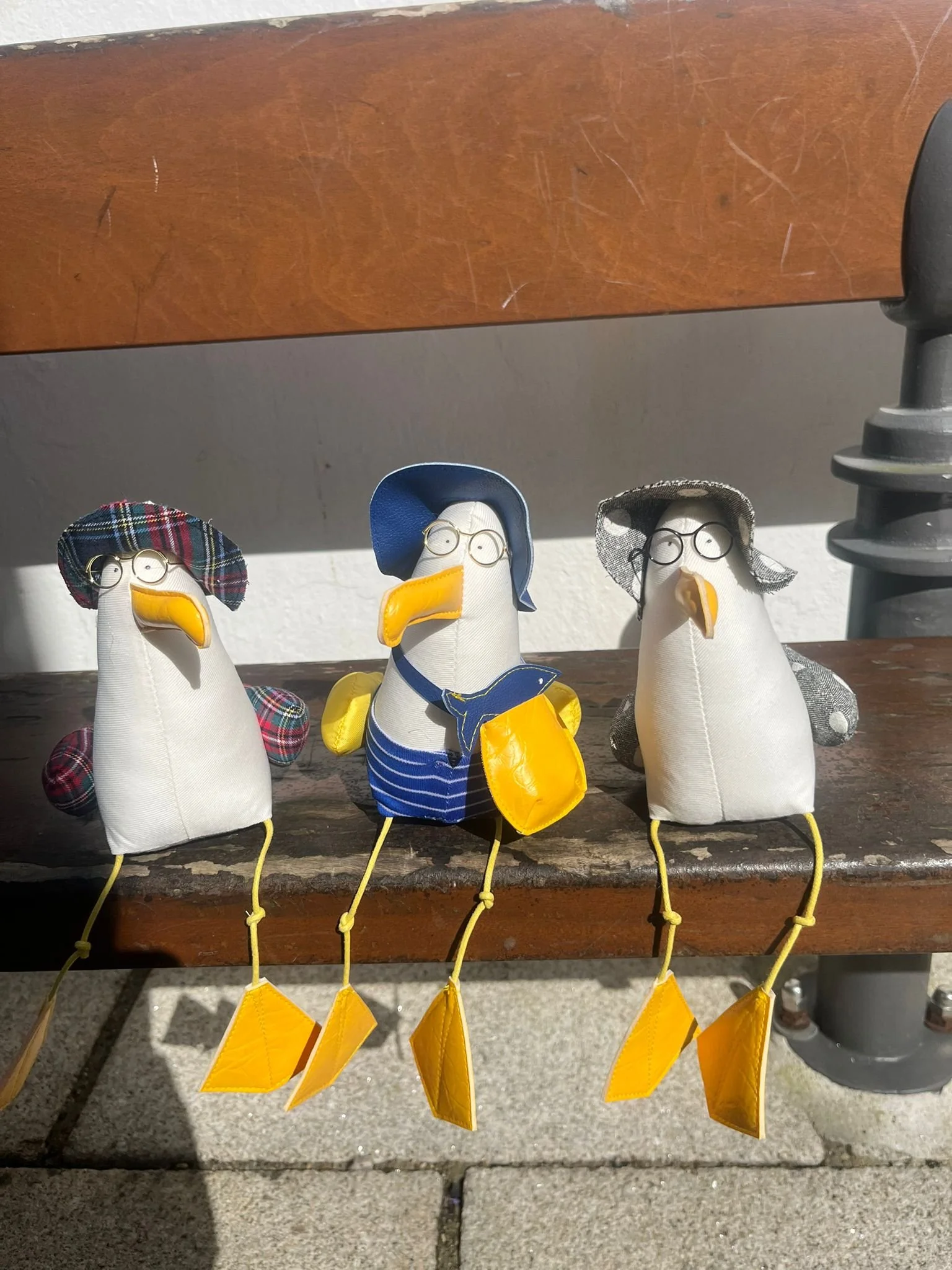 Gigi la mouette sentier cotier concarneau 1.jpeg