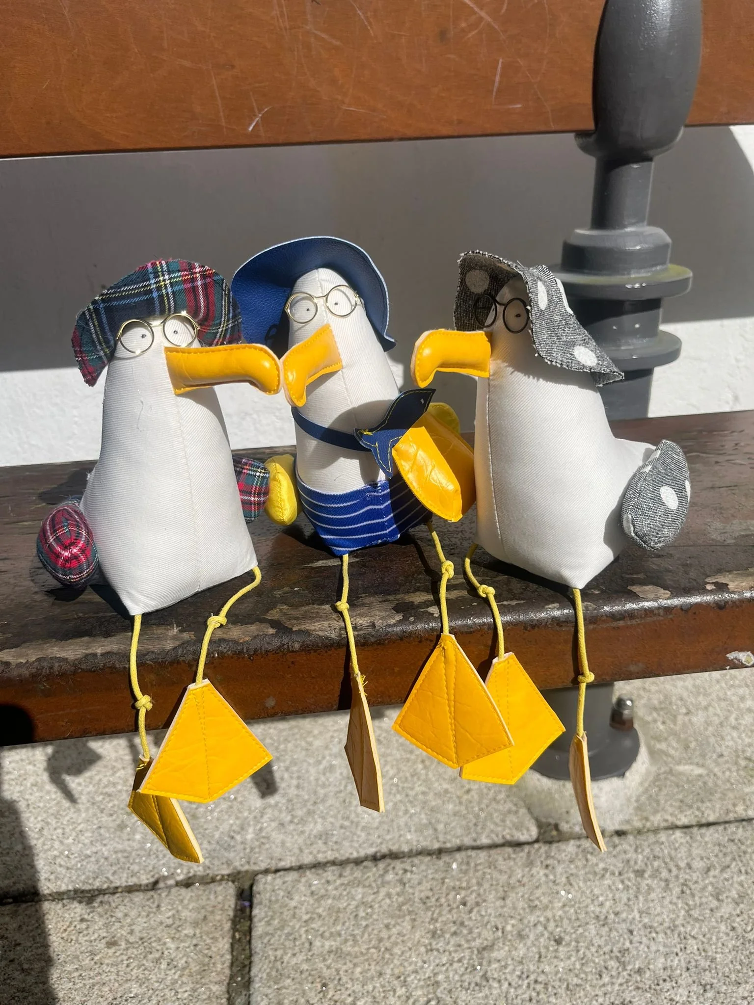 Gigi la mouette sentier cotier concarneau 2.jpeg