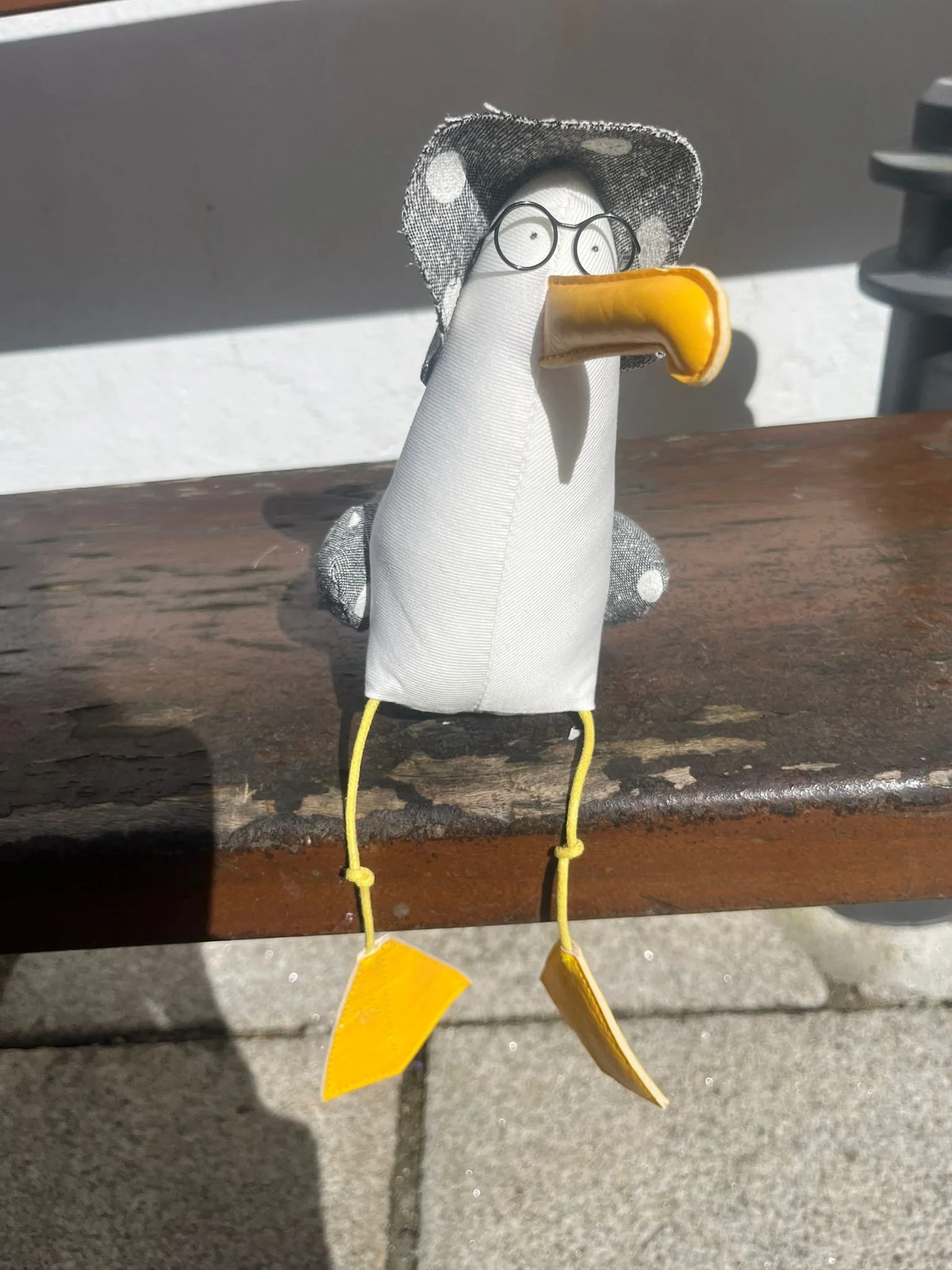 Gigi la mouette chapeau lunettes gris pois sentier cotier concarneau.jpeg