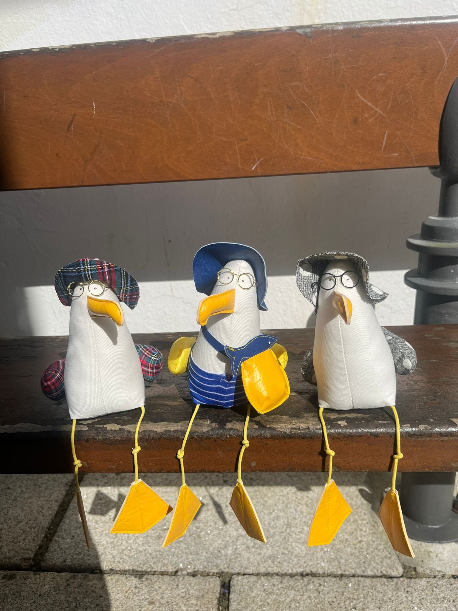 Gigi la mouette sentier cotier concarneau.jpeg