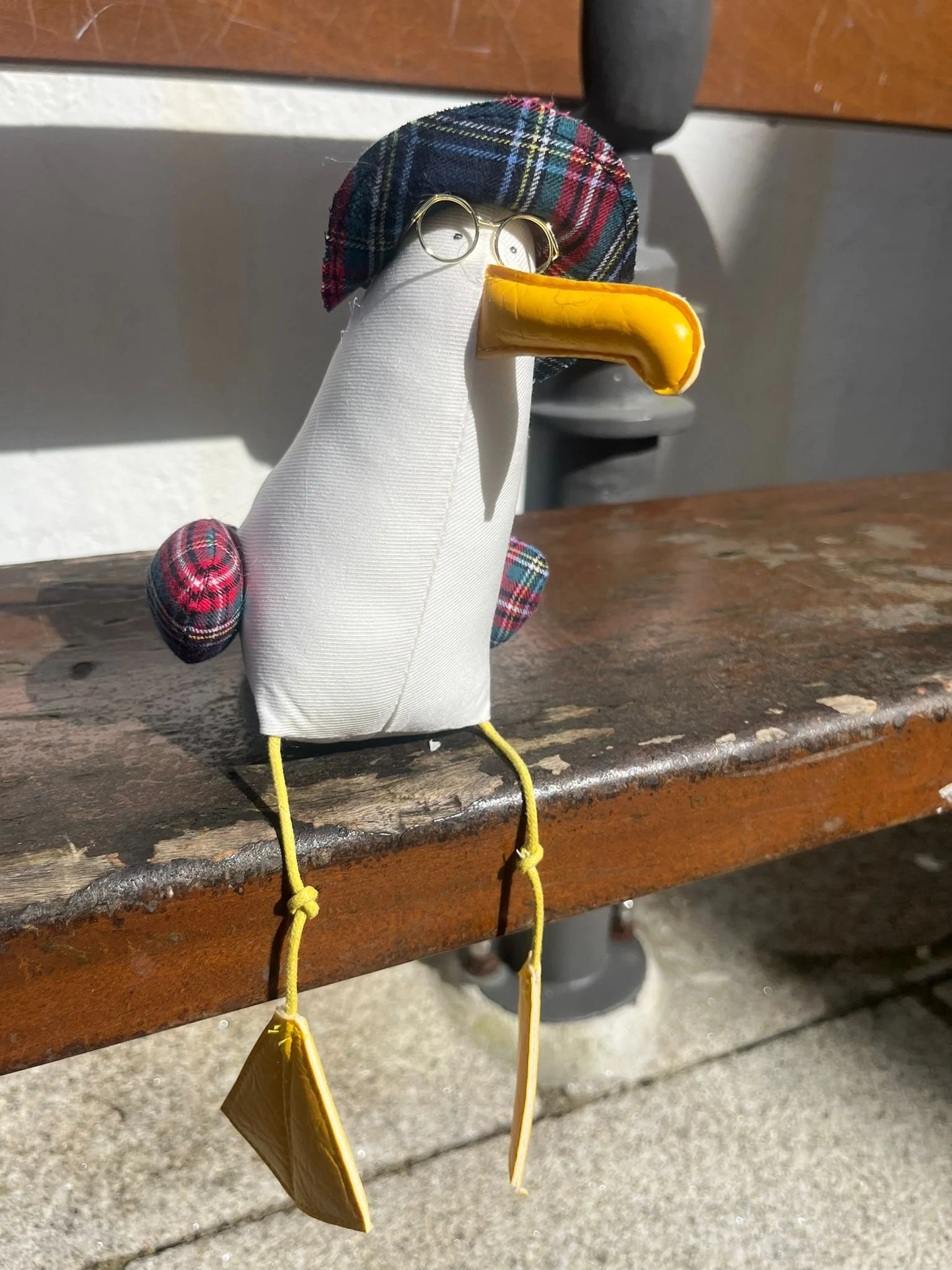 Gigi la mouette chapeau lunettes tissu ecossais sentier cotier concarneau.jpeg