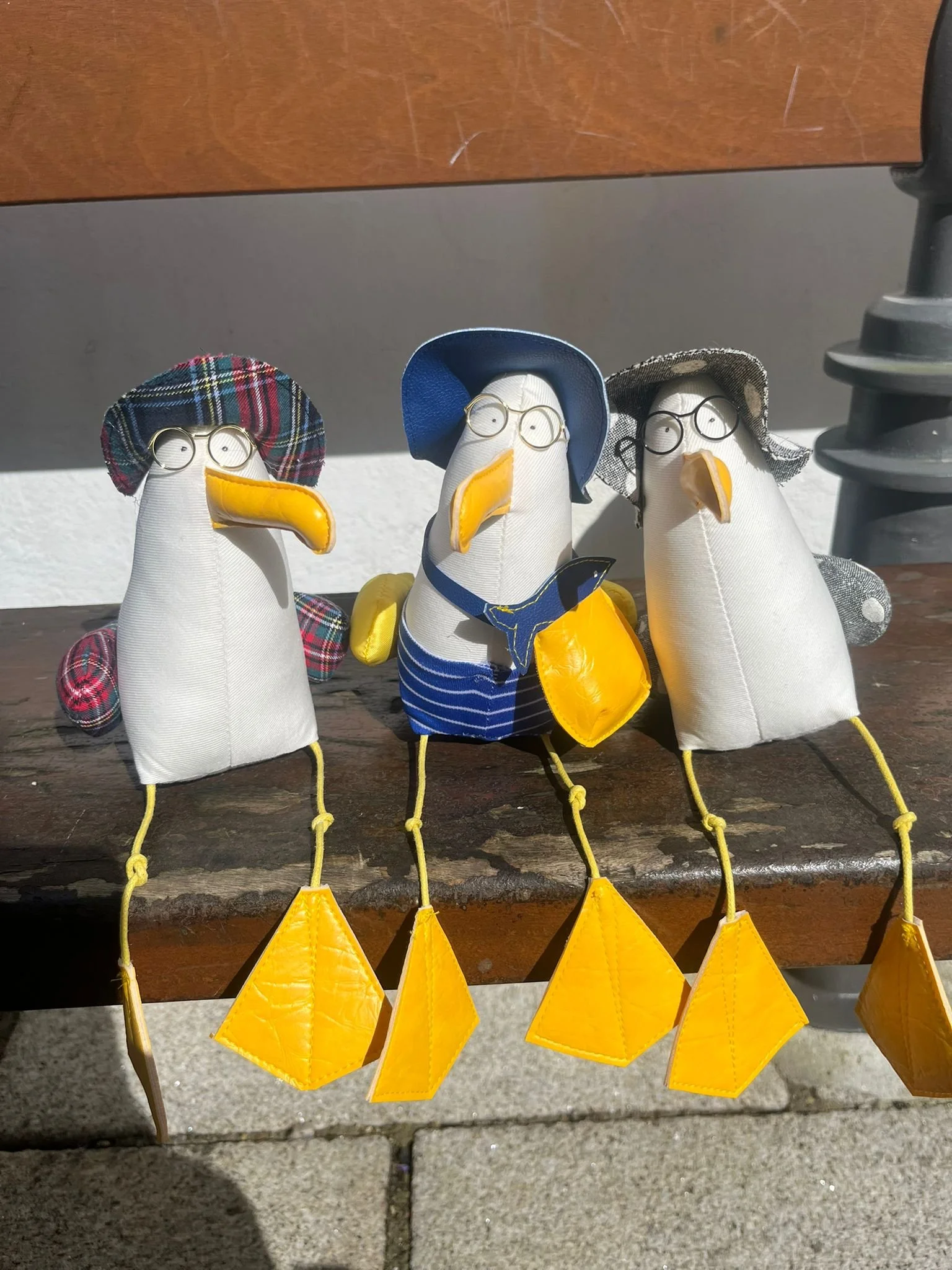 Gigi la mouette sentier cotier concarneau 3.jpeg