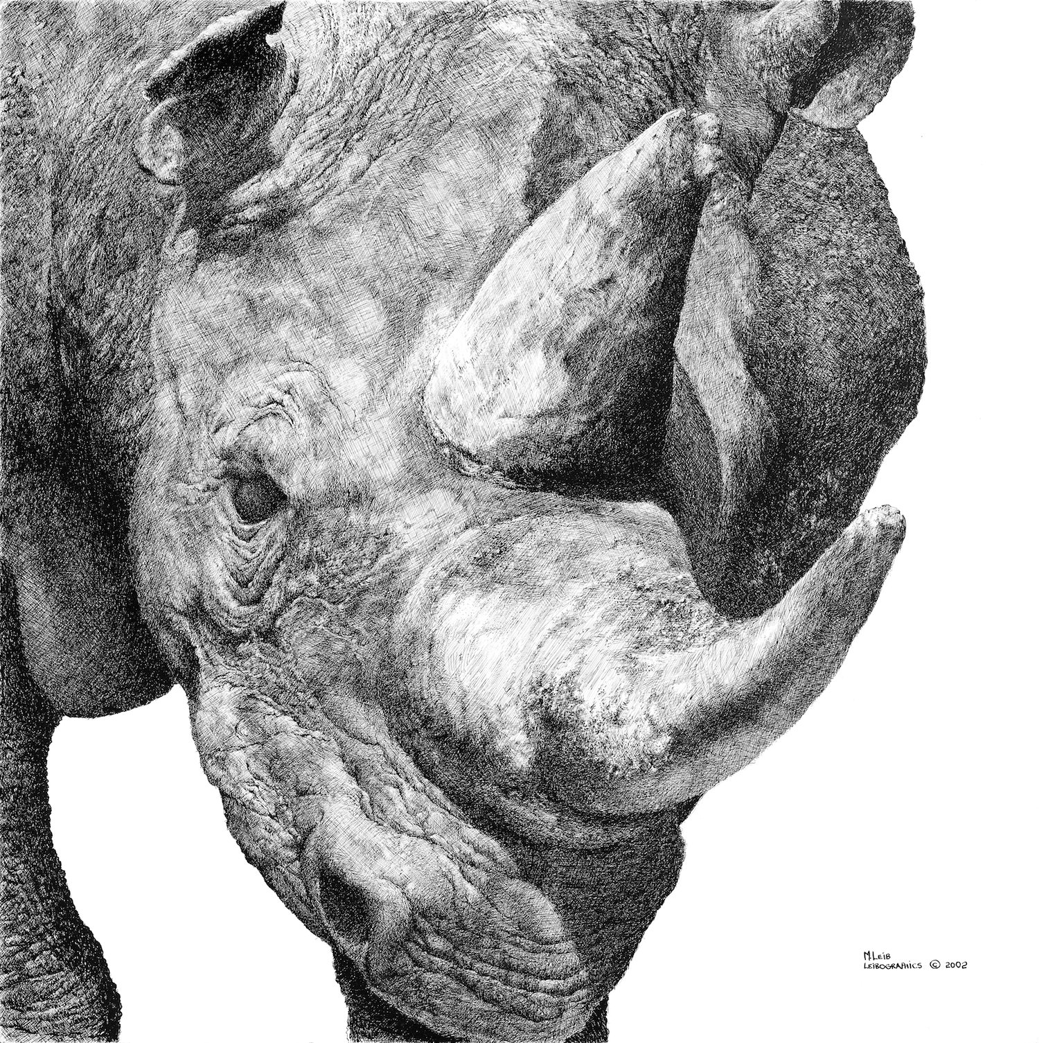 Rhinoceros 2.jpg