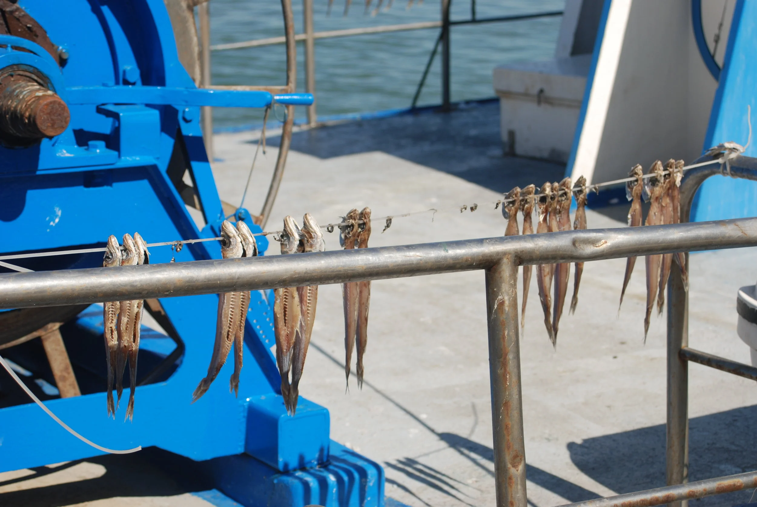 Olive Green Organics