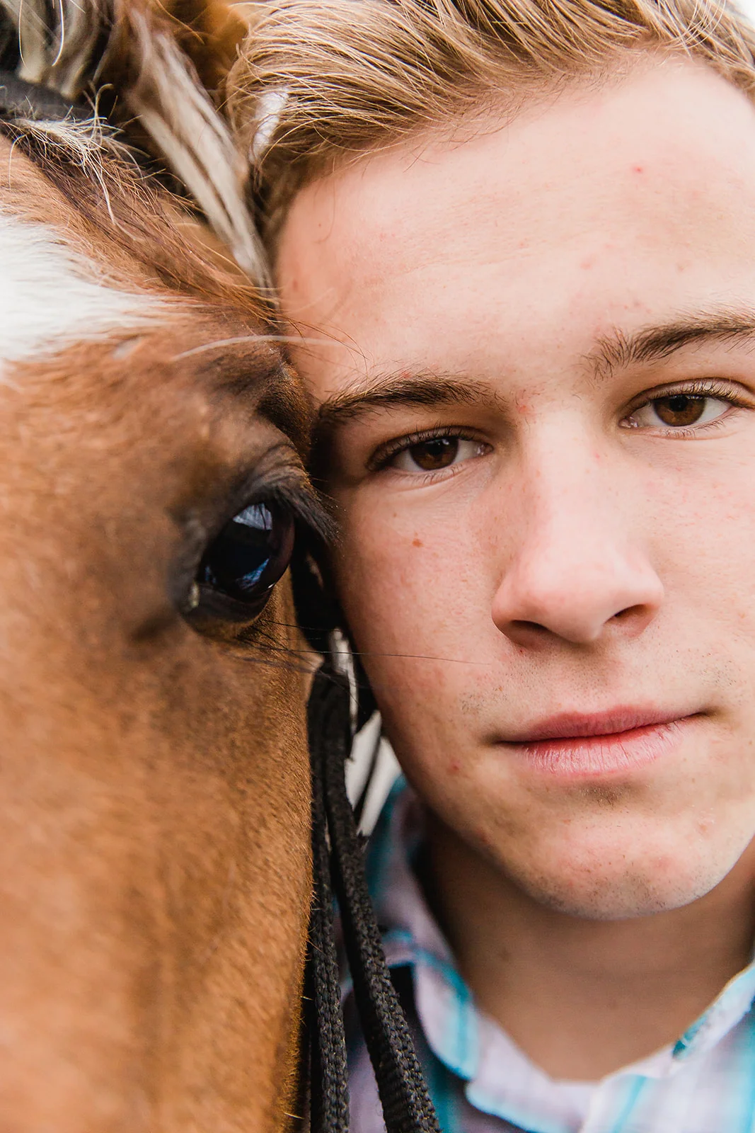 Sweet senior picture session with pet horse cowboy senior photos country life cache valley utah senior photo photographer bella alder photography #bellaalderphoto #seniorpictures #cowboy #portraits #cachevalley #paradiseutah #loganutahphotographer #utahseniors #utahportraitphotographer #utahseniorphotos #seniorphotos #graduation