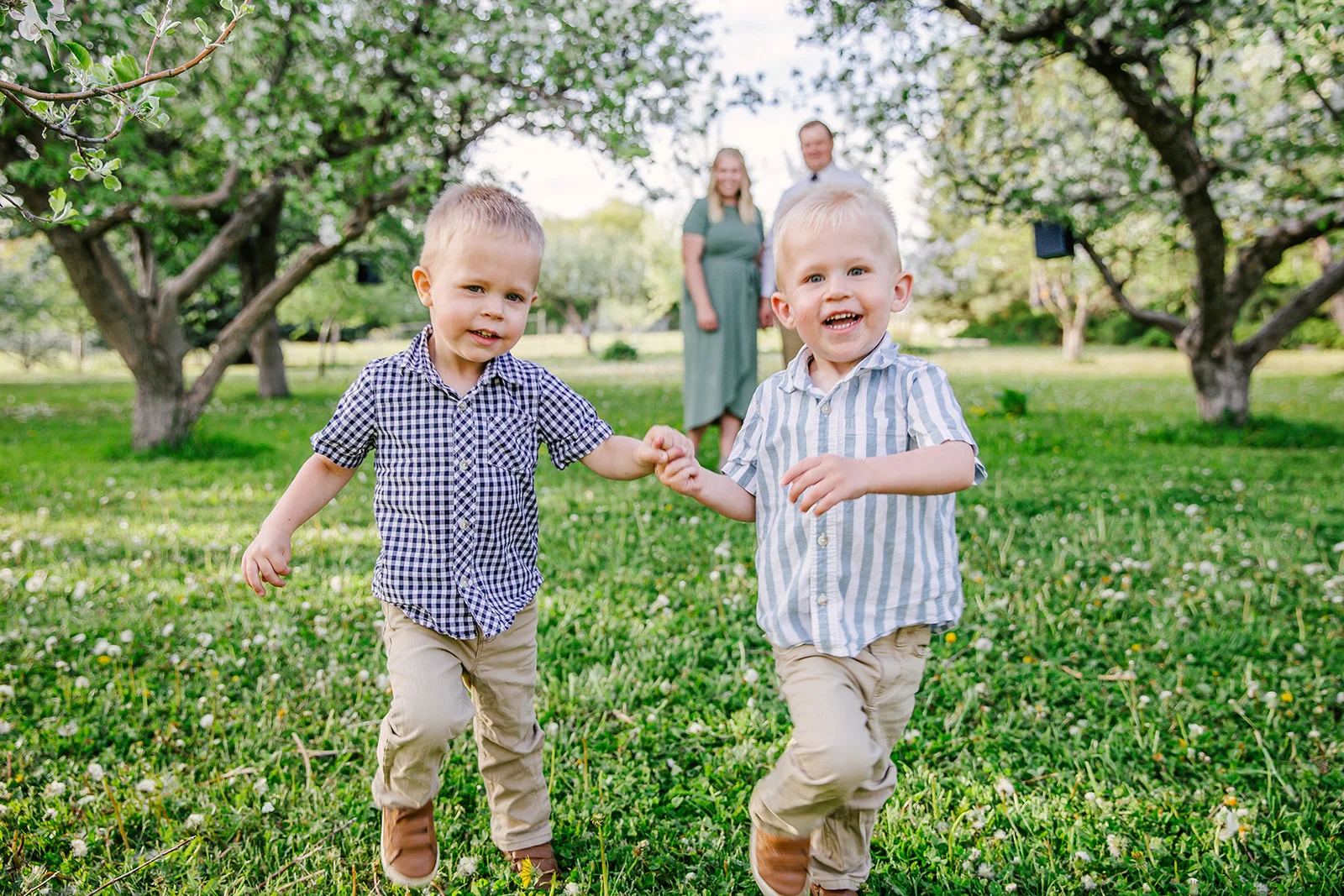 Happy boys in field of flowers. Summer time photos. Laughing boy sin green fields Family photos. Ranch style photography. Apple Orchard photography. Professional family photos. Twin parents. Trees blossoming. Tree blossoming photos. Twin boys run through a field of flowers. #twinboy #appleorchardphotography #summertimephotos #familyphtos #blossomphotos #lookingintoeachotherseyes #happyfamily #formalpictures #greenfieldphotos #hotsummernights #laughingboy #twinparents