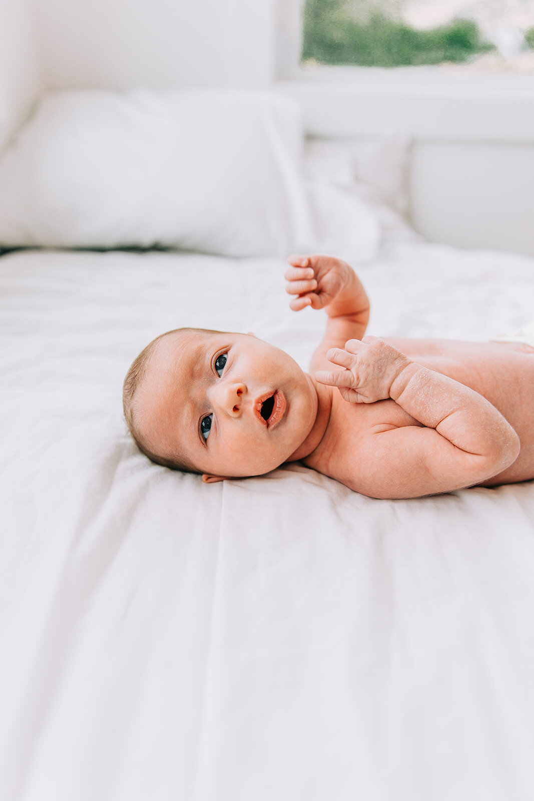  naked baby poses baby rolls chunky cheeks professional utah photographers professional family photographers in cache valley logan utah newborn photography mattress pose inspiration arm rolls adorable baby pictures casual photoshoot inspiration bella