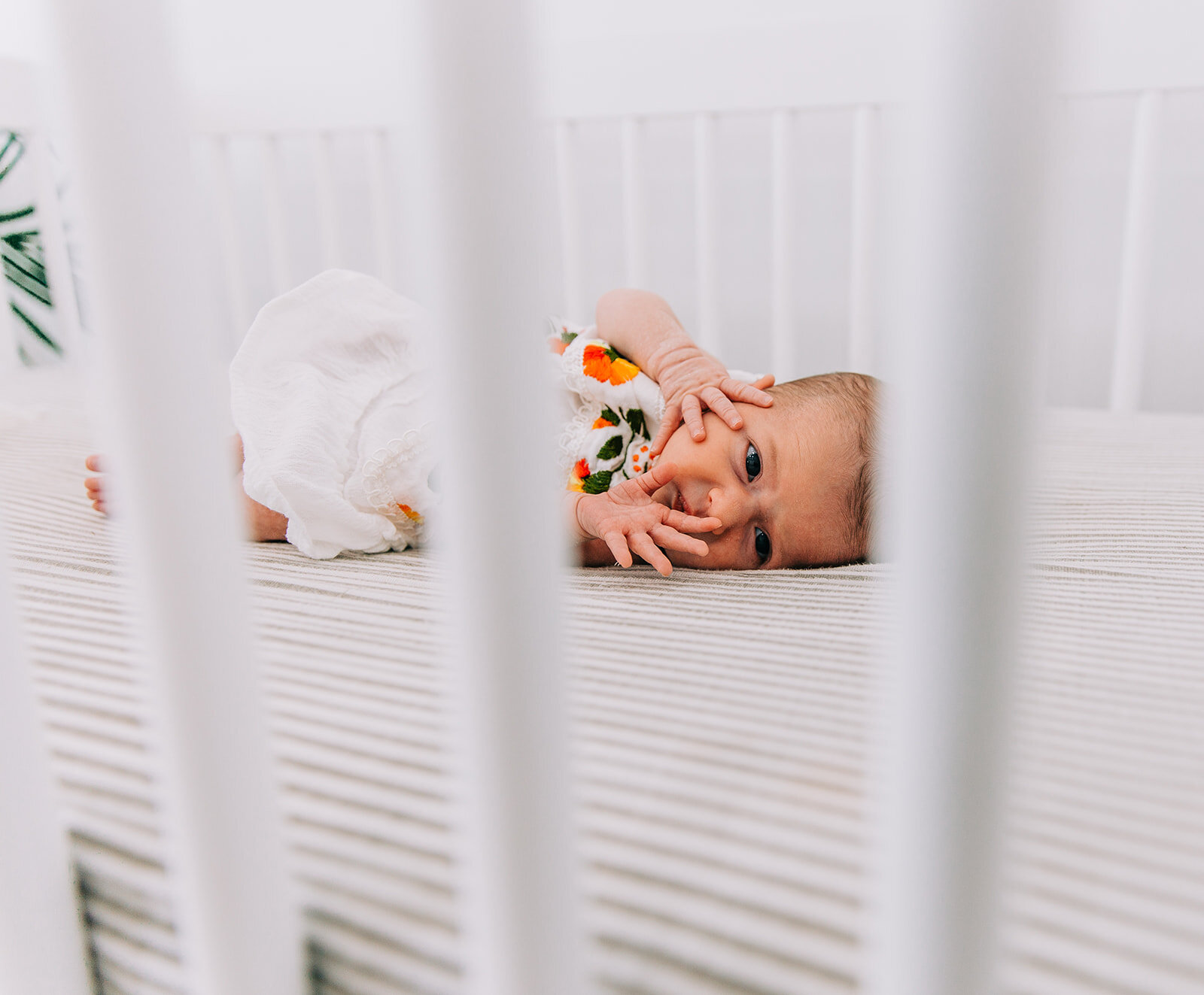  crib pose inspiration baby girl newborn photography professional photographers in cache valley logan utah professional family photographers newborn pose inspiration casual photoshoot baby giggles bella alder photography adorable baby pictures fresh 