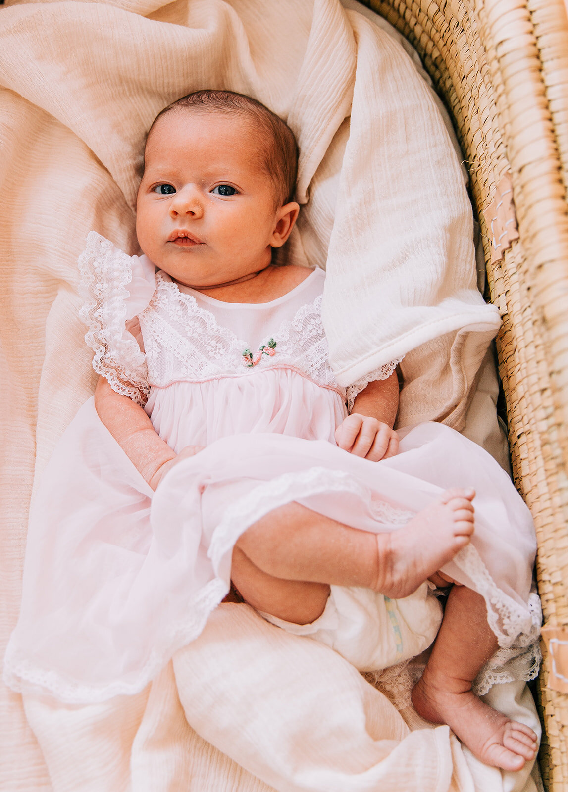 precious memories family pink dress baby fashion family traditions baby girl in lacy dress baby toes sweet sentiments fresh from heaven little angel bella alder photography professional family photographers in logan utah cache valley professional ph