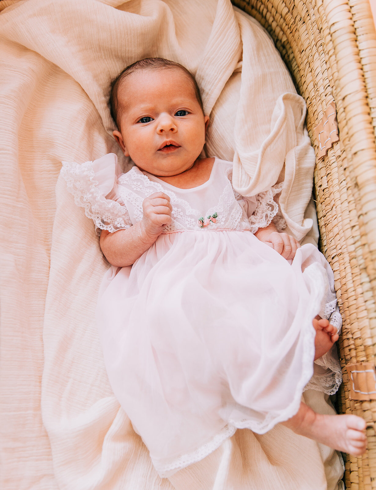  fresh from heaven newborn photography precious memories family pink dress baby fashion family traditions baby girl in lacy dress baby toes sweet sentiments cache valley professional photographers little angel bella alder photography professional fam