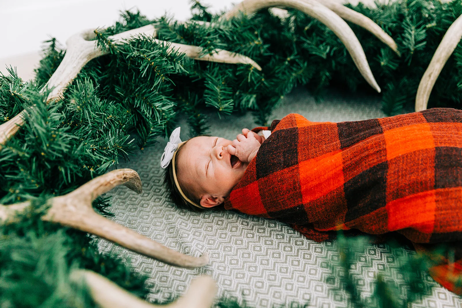 antlers baby girl pine branches fabric bow baby wrapped in buffalo check blanket blush door studio millville utah newborn photography session baby cheeks hair bow swaddle fresh from heaven family of three baby girl professional photographers in utah…