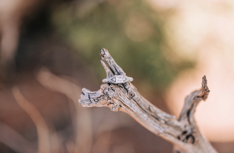 Moab Utah Wedding Photographer 