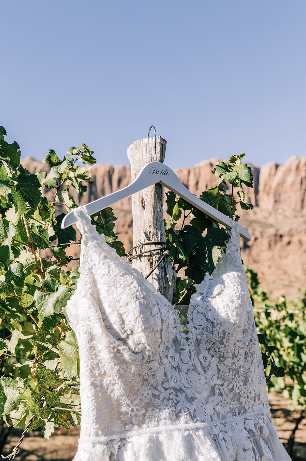 Spanish Valley Winery Moab Utah Wedding 