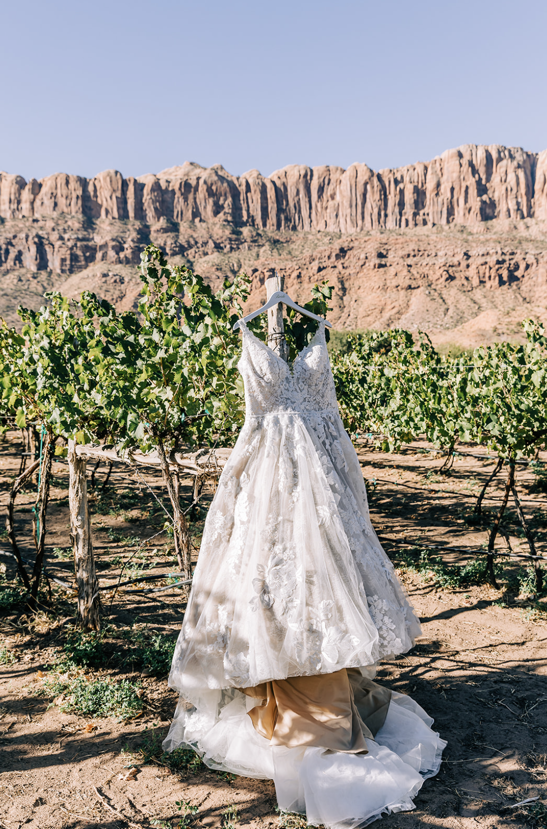 Spanish Valley Wedding Moab Utah