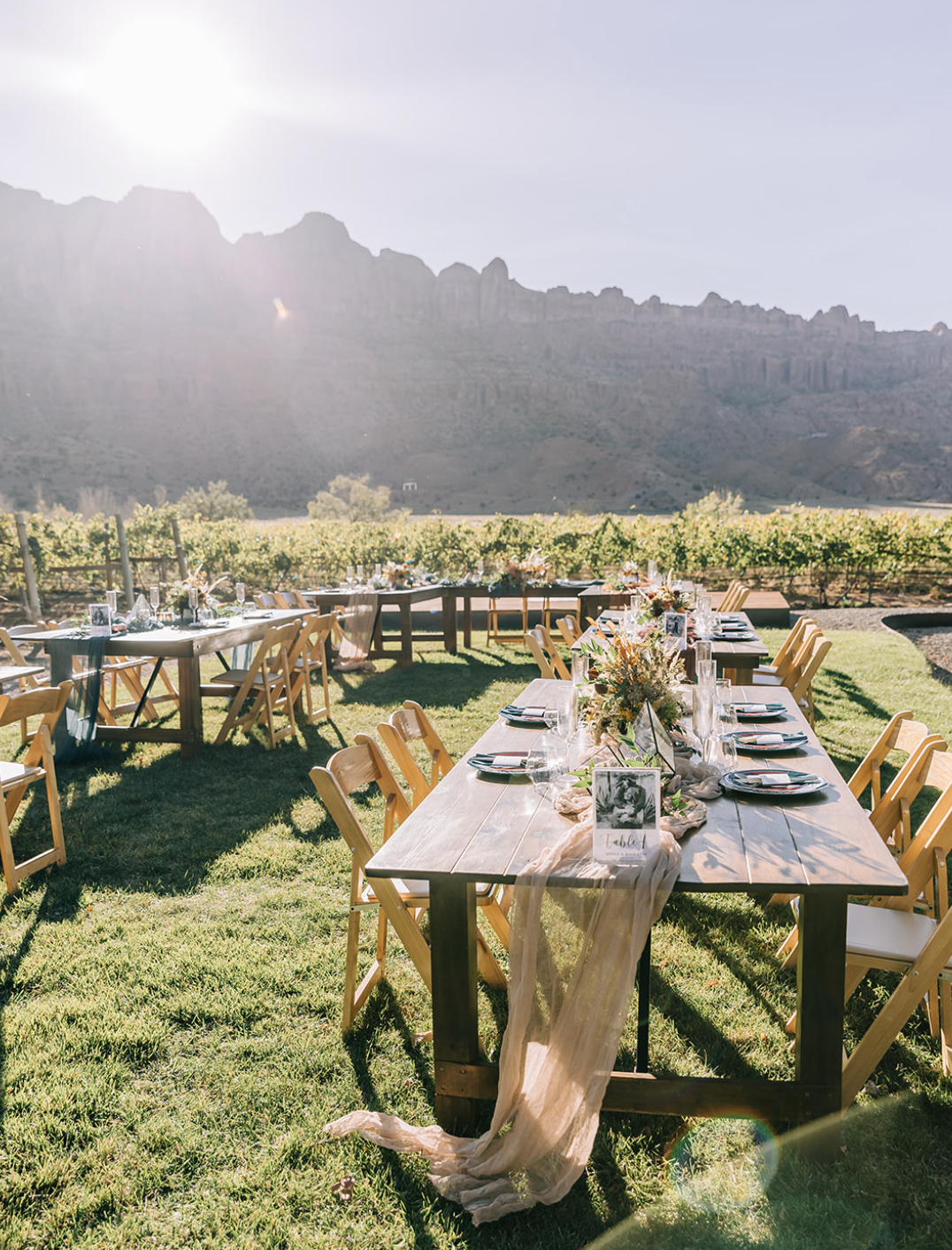 Spanish Valley Winery Moab Utah Wedding 