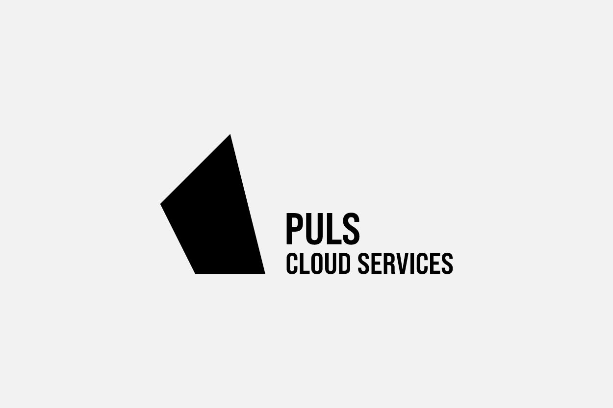 logo_puls_companies.jpg