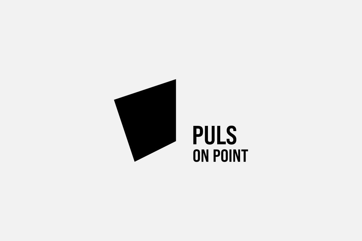 logo_puls_companies2.jpg