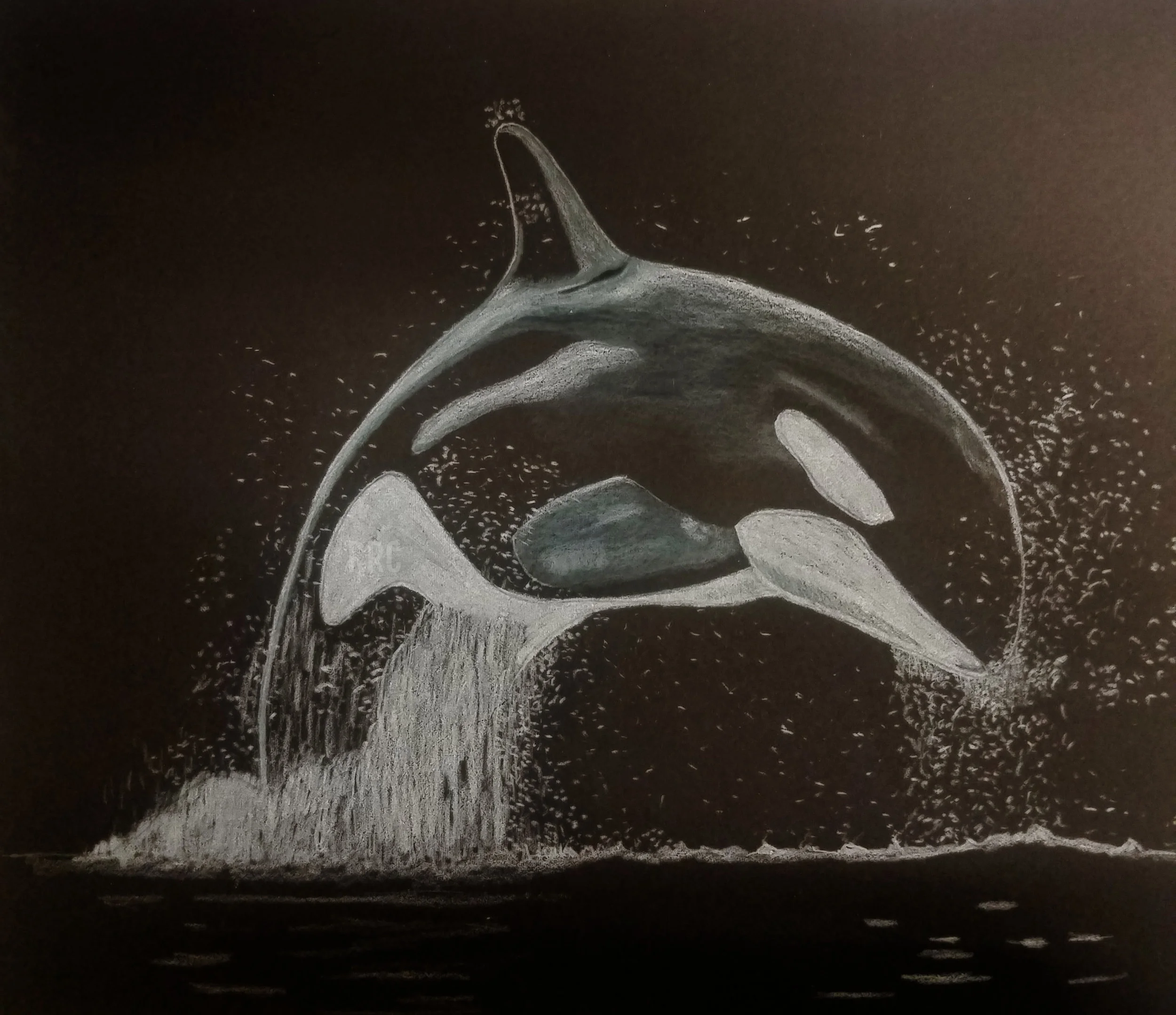 Orca — Man of art, image size:2500x2159
