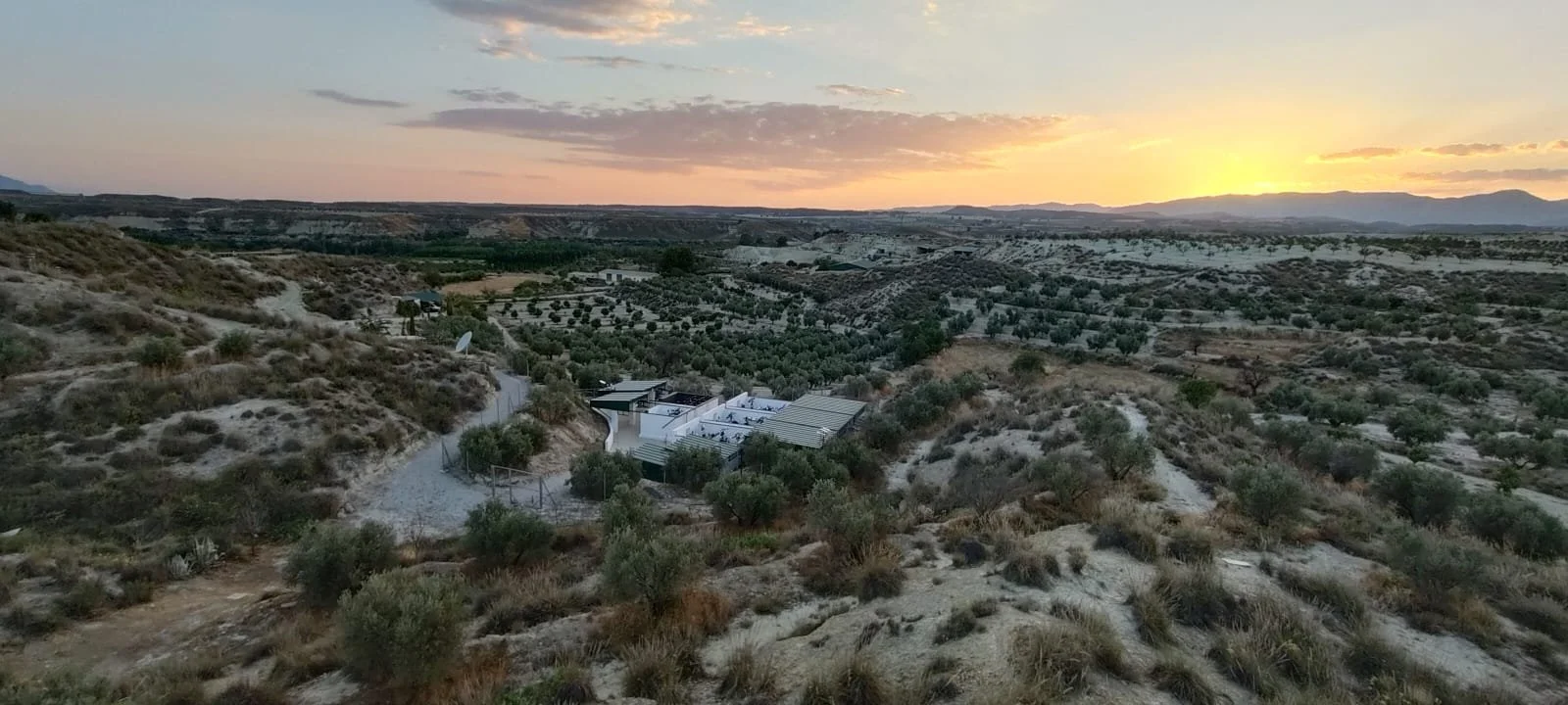 WhatsApp Image 2025-07-06 at 18.11.50.jpeg