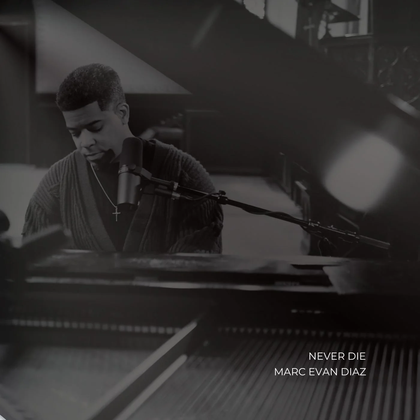 NEVER DIE Official Cover.jpg
