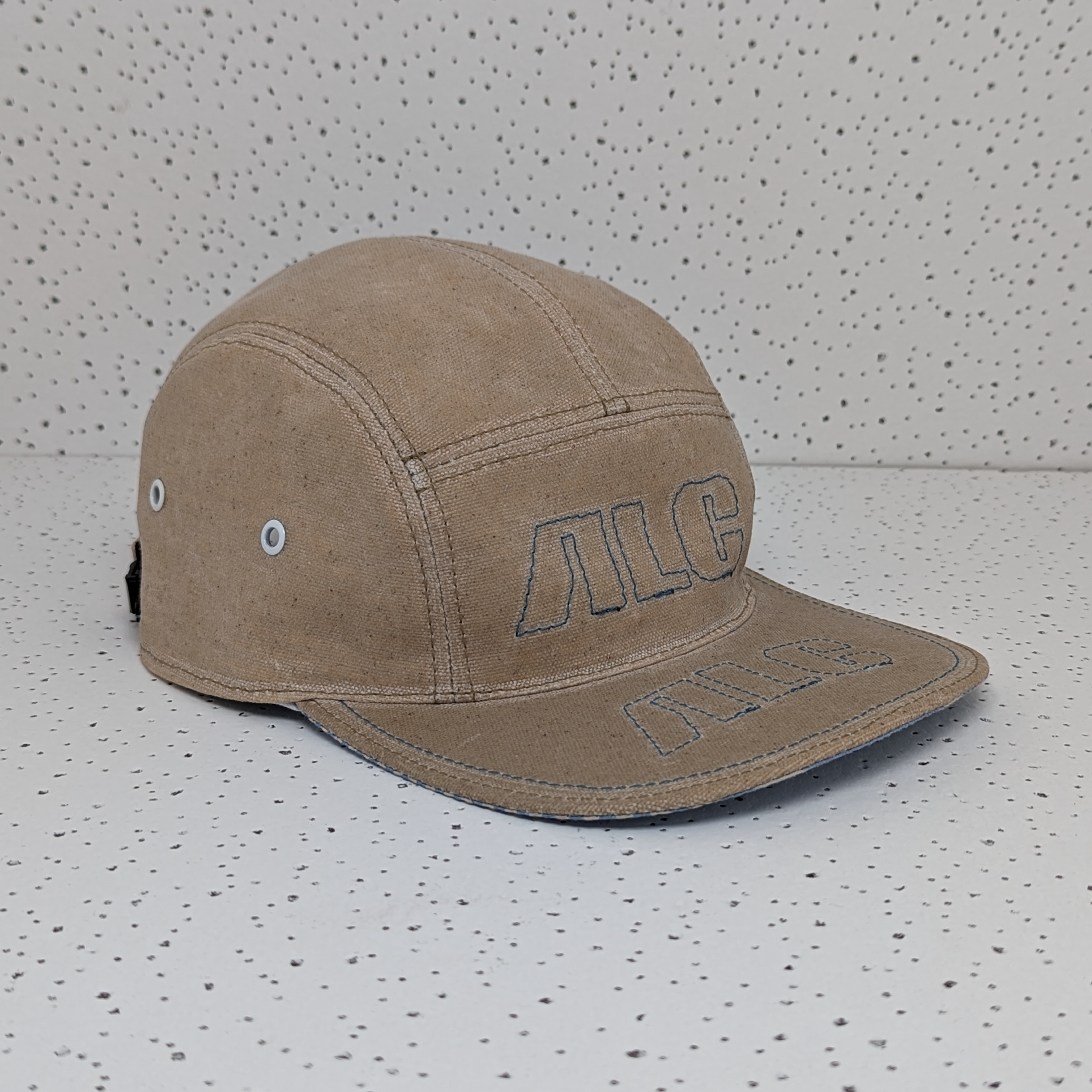 ALC_5 Panel-13.png
