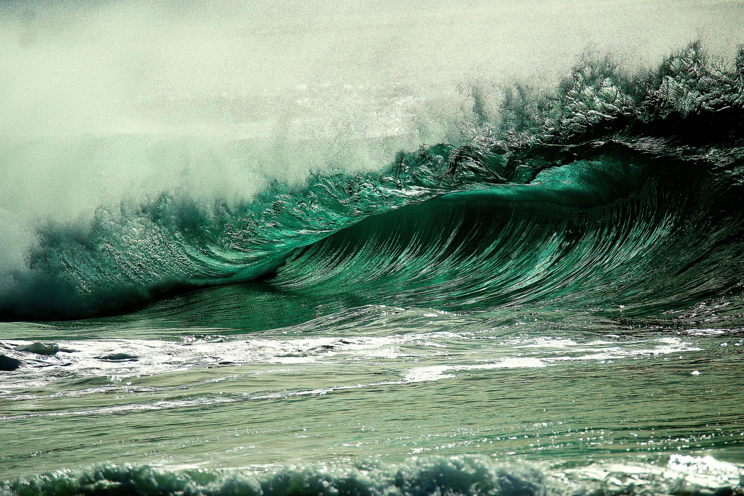 Riding the Wave