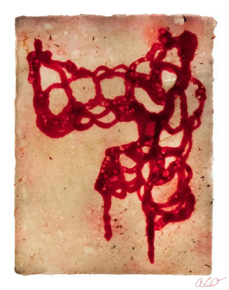 Gut Flora ISIGjpg.jpg