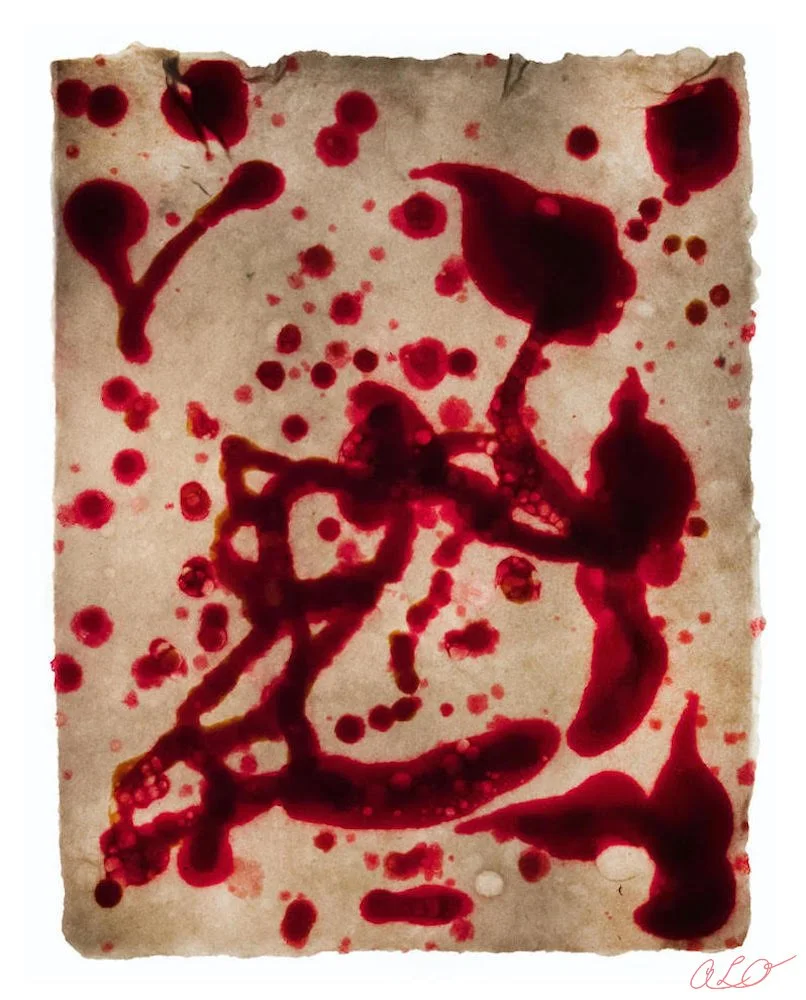 Gut Flora IIISIGjpg.jpg