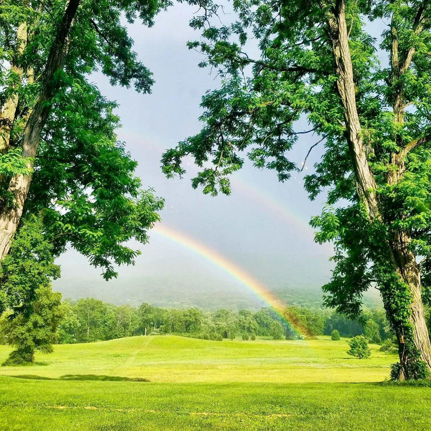 rainbow_landscape.jpg