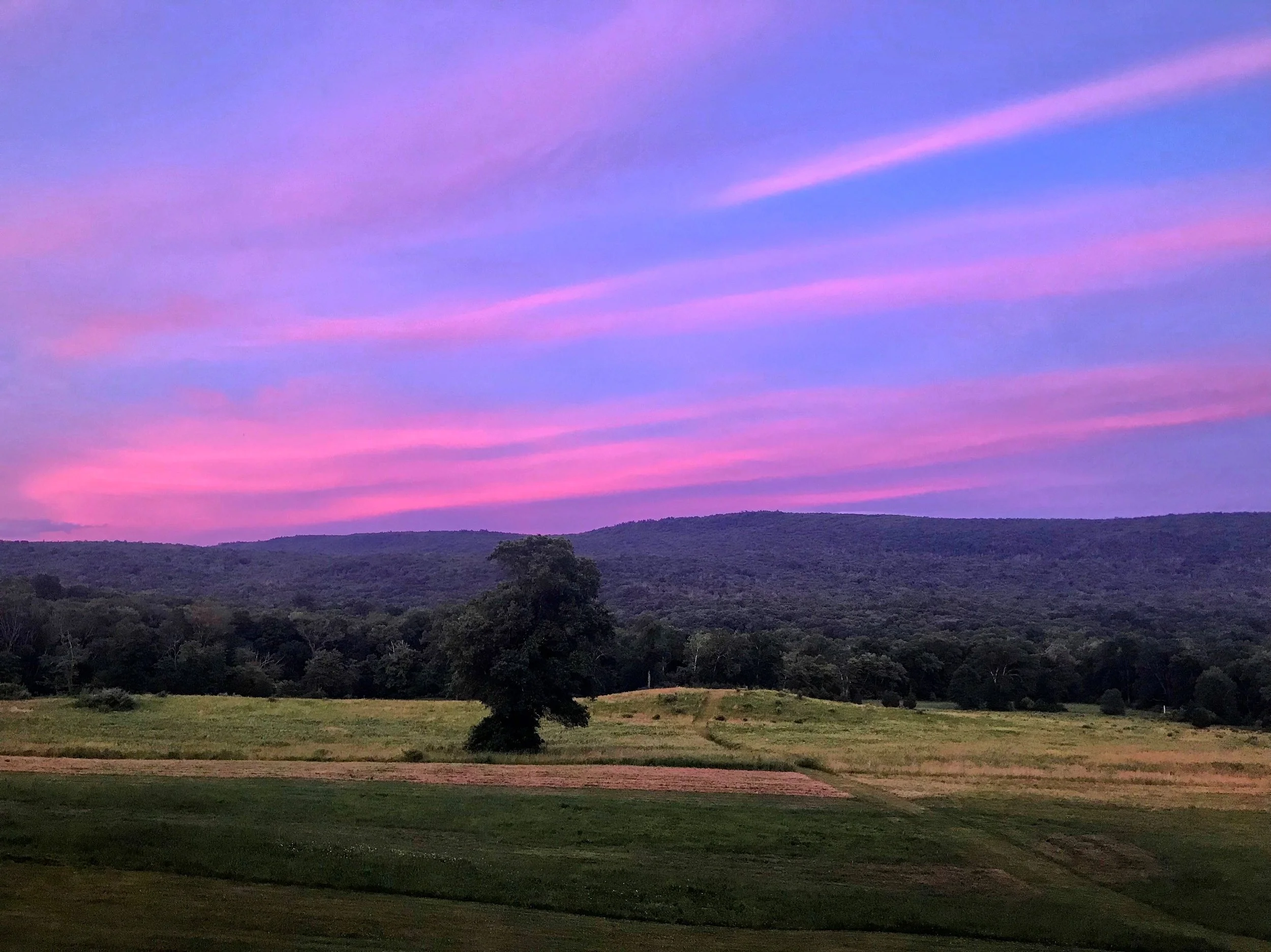 sunset_hills_pink.JPG
