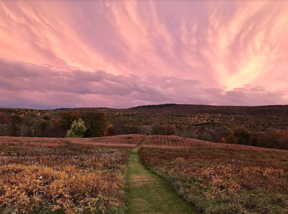 fall sunset.png