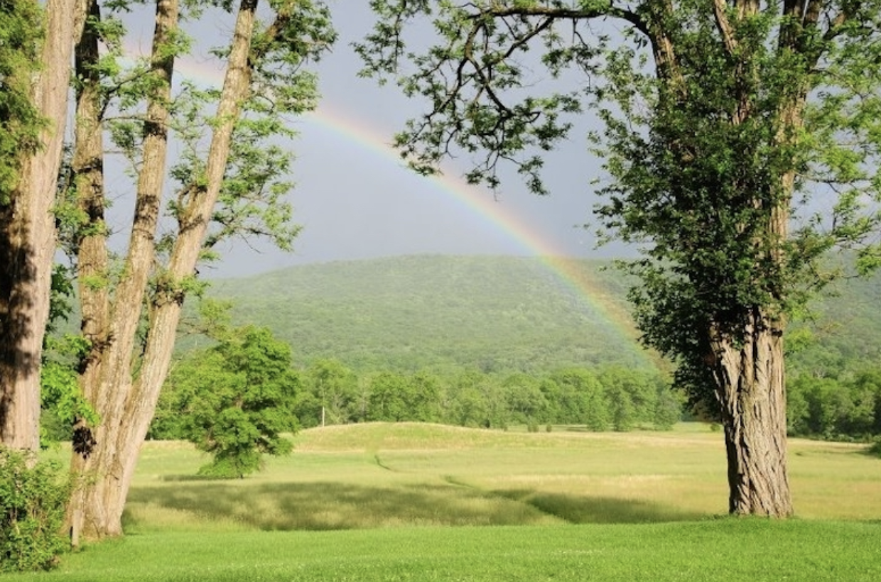 spring rainbow.png