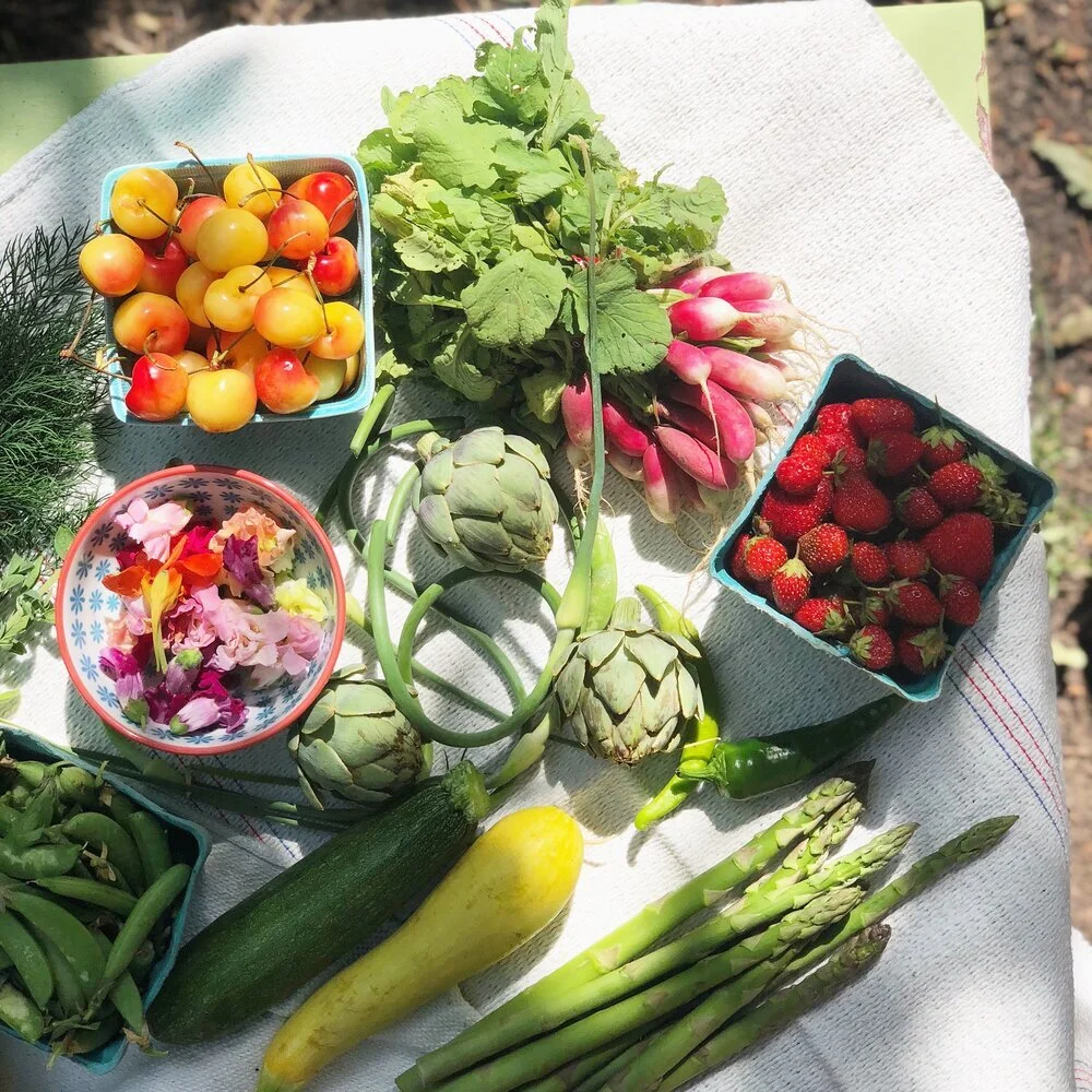 colors+of+summer.jpg