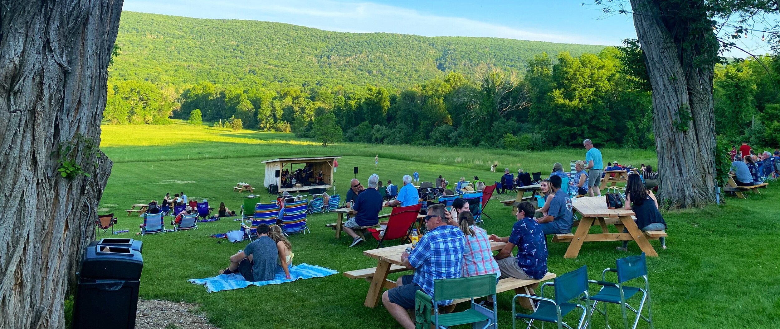 concert_lawn_picnic.jpg
