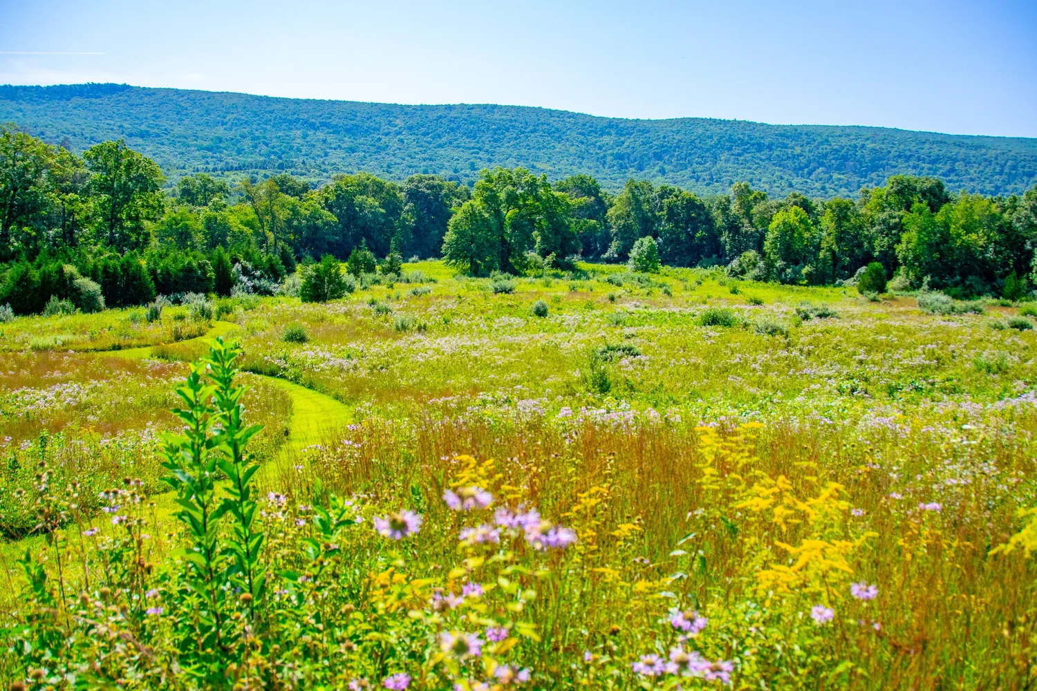 The Walpack Valley fields