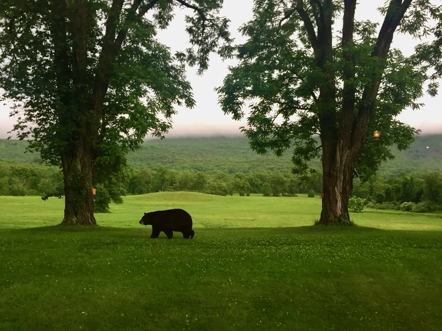 Delaware Water Gap National Recreation Area