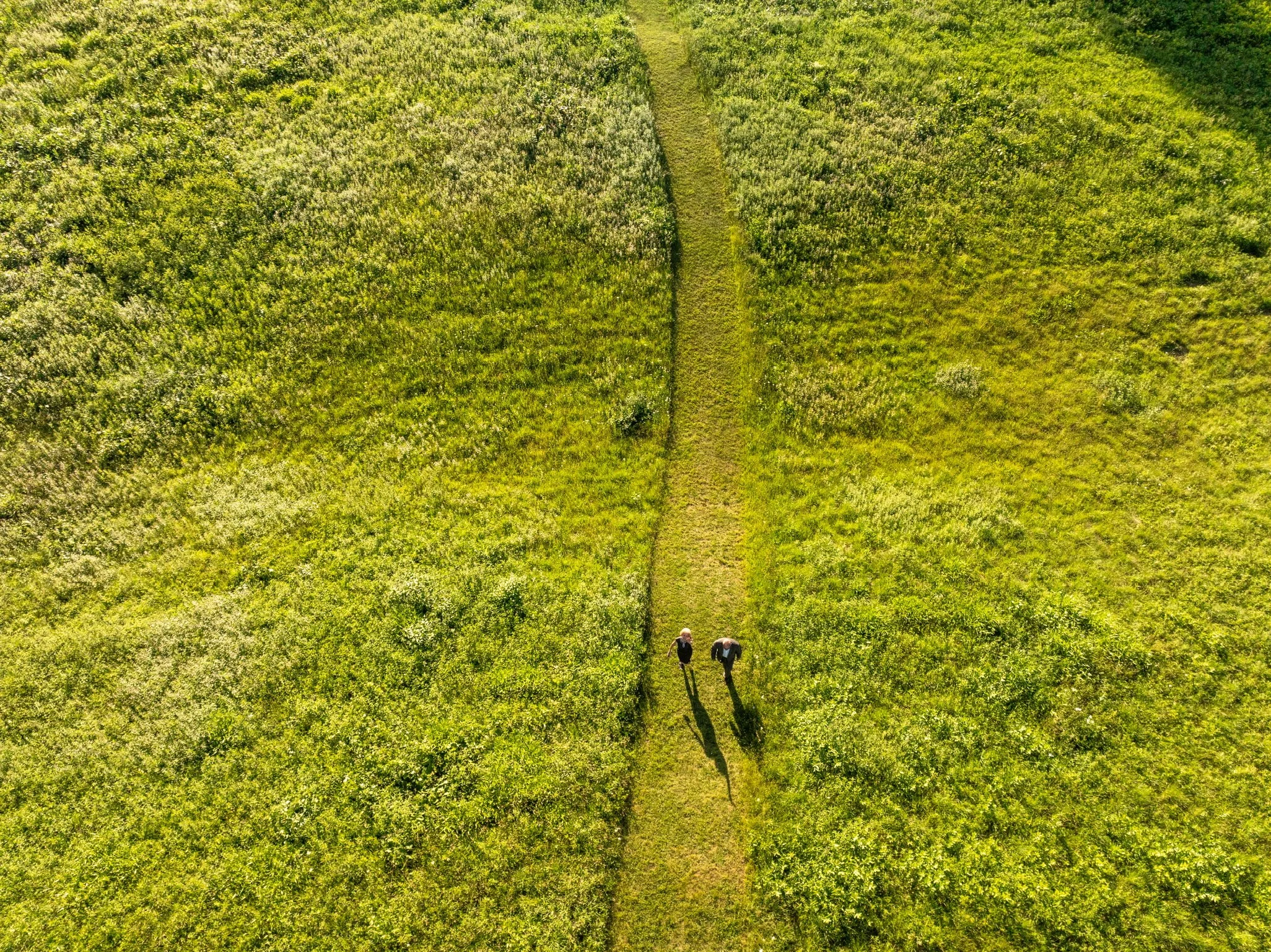 aerial_field_path_drone.JPG