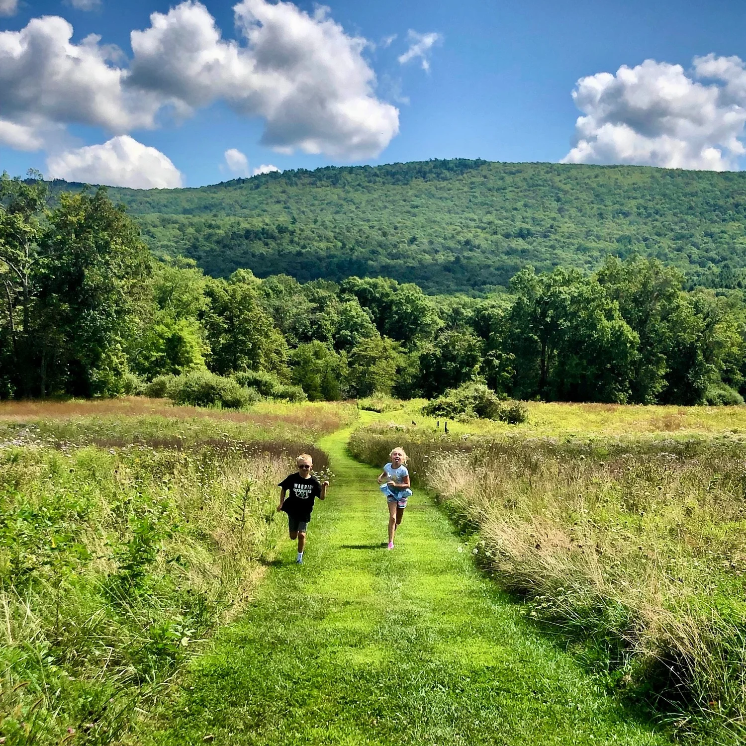 Person with dogs at a waterfall in the Delaware Water Gap
