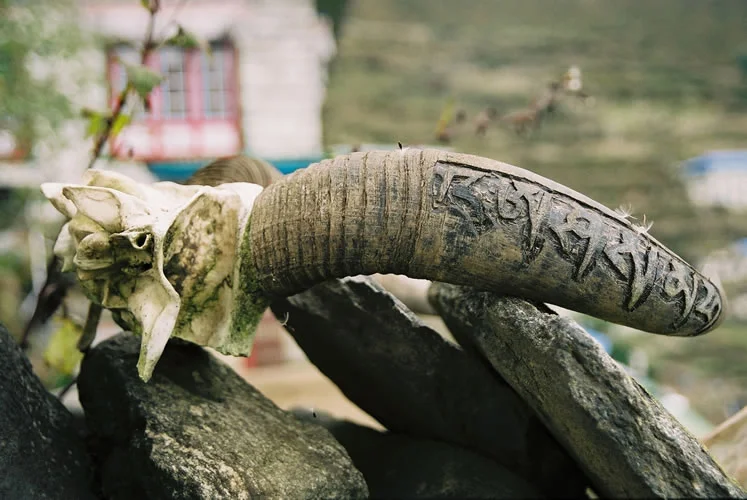 Annabel_Illingworth_Nepal_carved_yak_horn.jpg