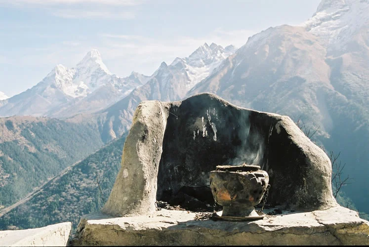 Annabel_Illingworth_Nepal_juniper_at_tashis.jpg